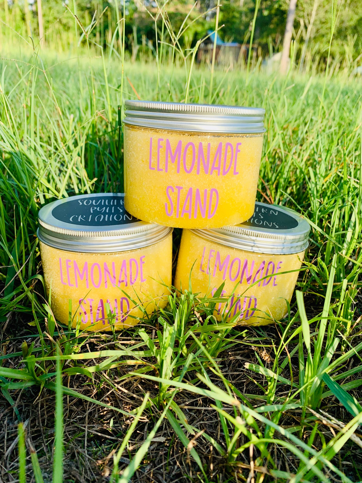 Lemonade Stand